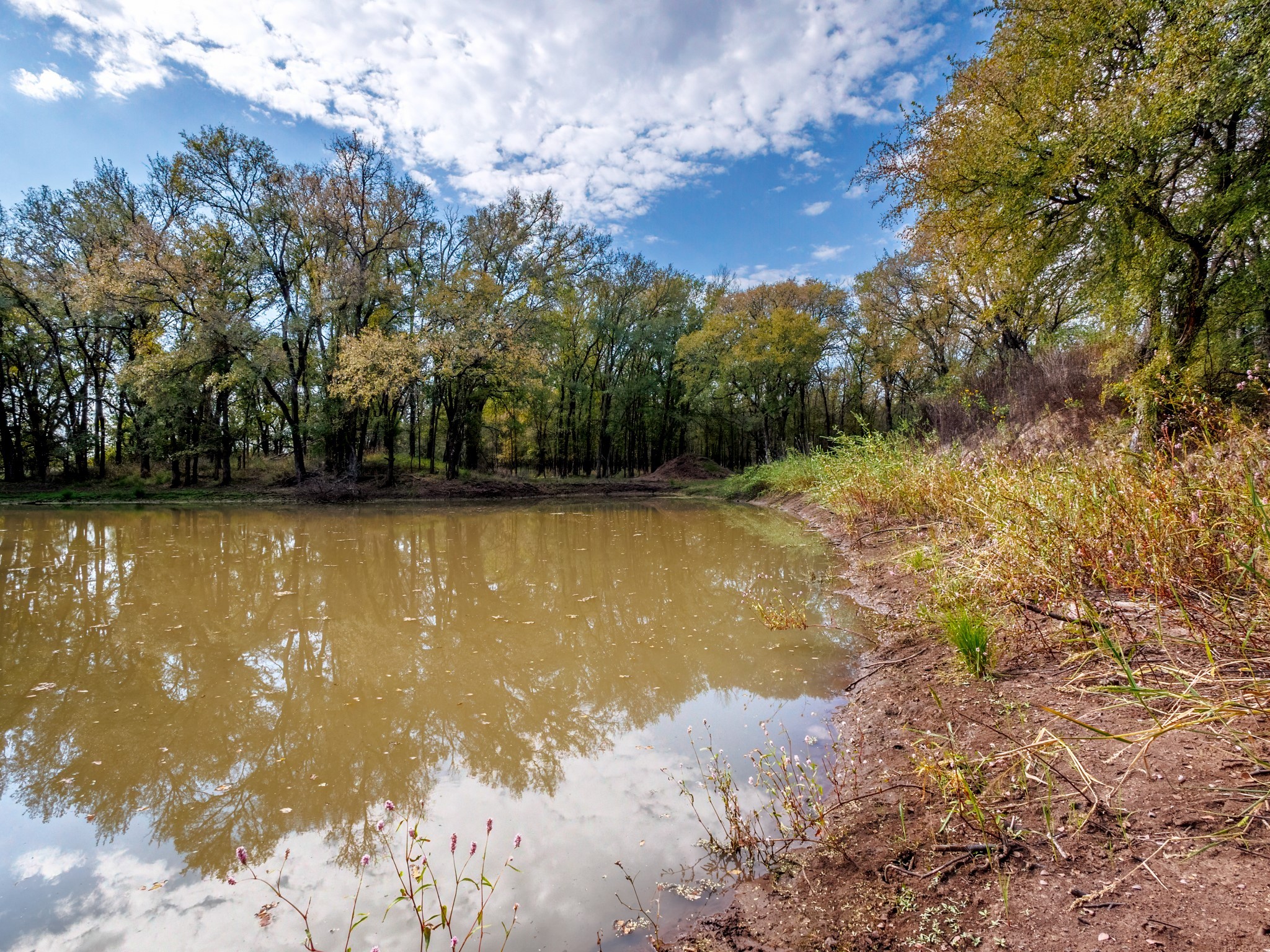 217 County Road 468 De Leon TX 76444