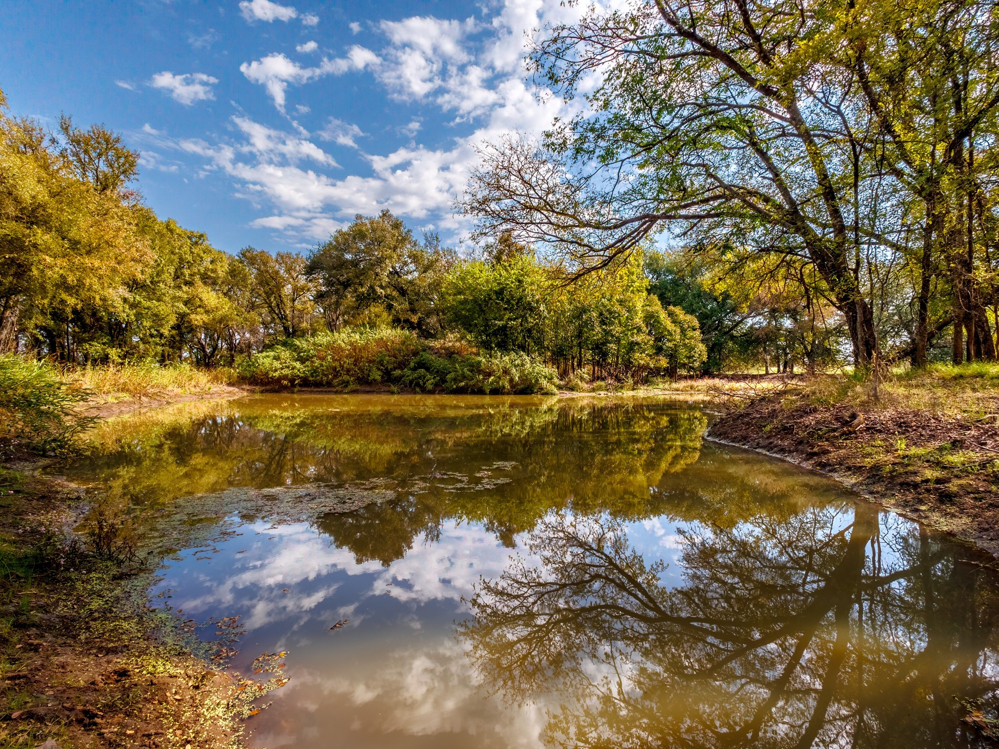 217 County Road 468 De Leon TX 76444