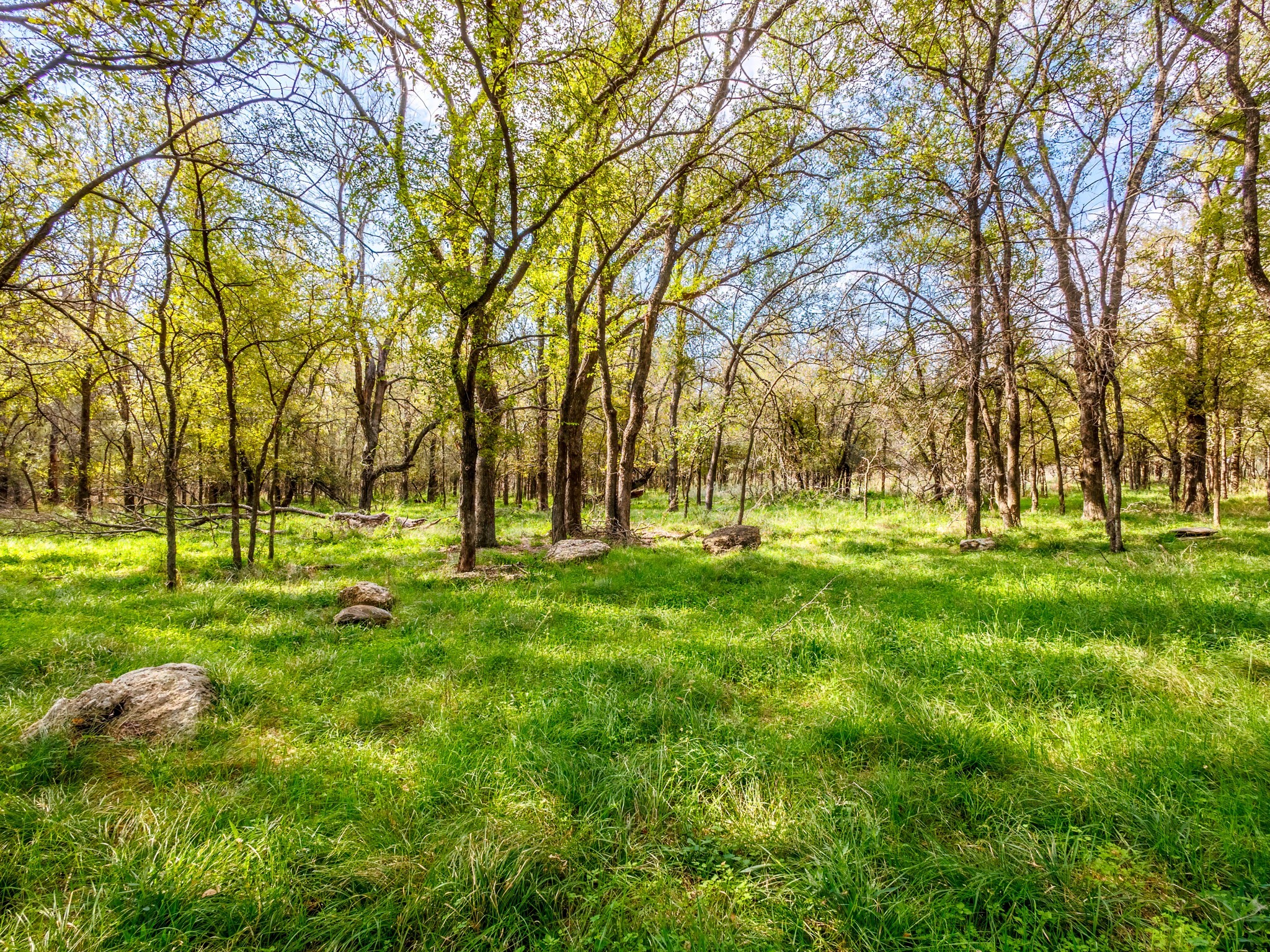 217 County Road 468 De Leon TX 76444