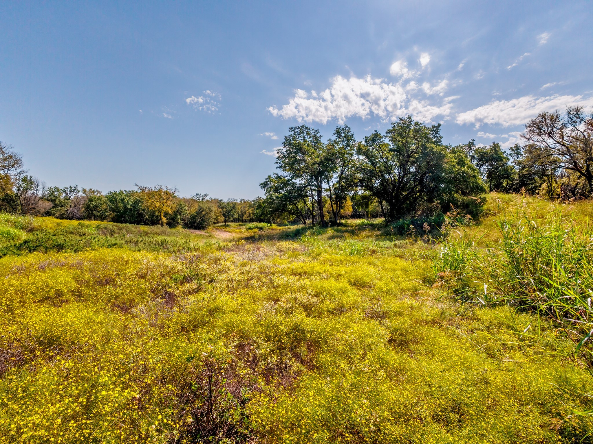 217 County Road 468 De Leon TX 76444