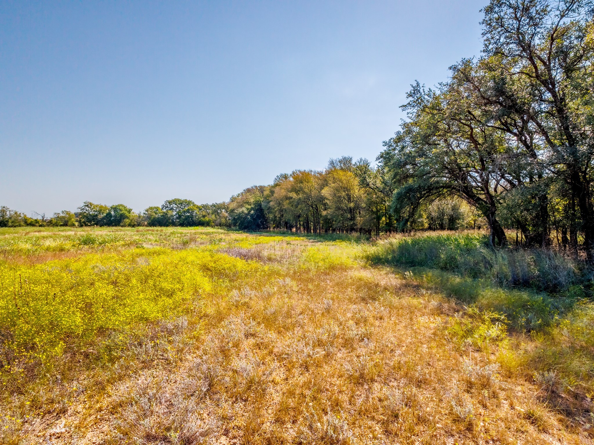 217 County Road 468 De Leon TX 76444