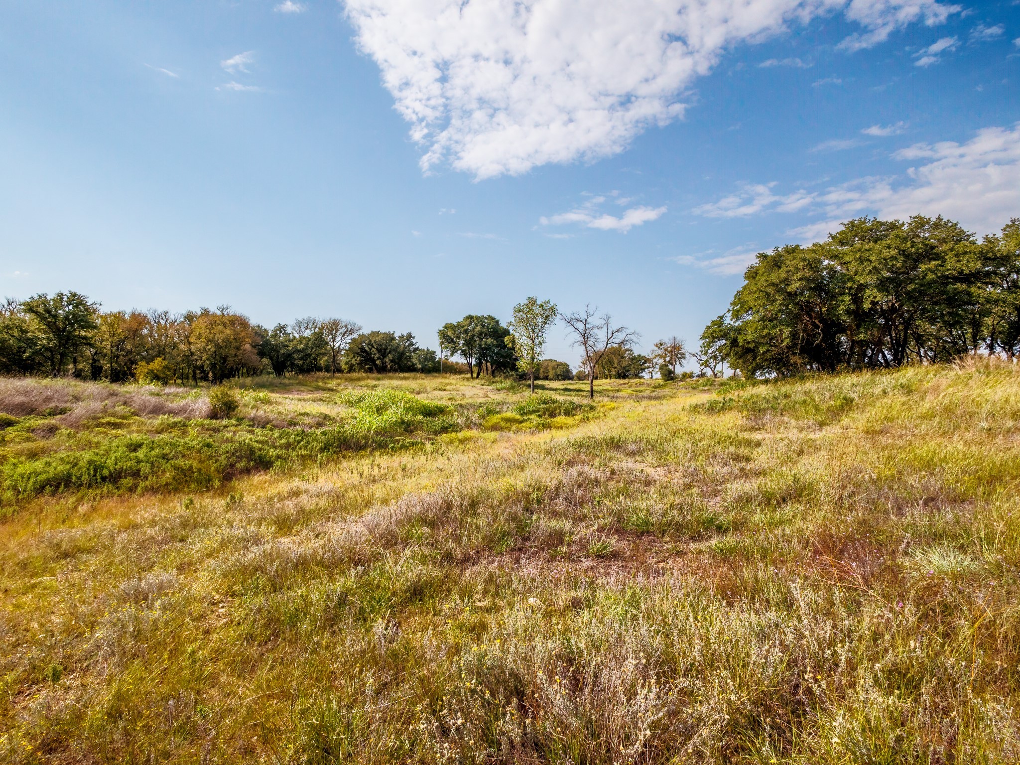 217 County Road 468 De Leon TX 76444