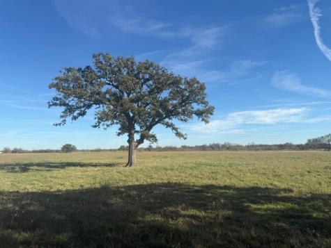 0 Cr-4059 Kemp TX 75143