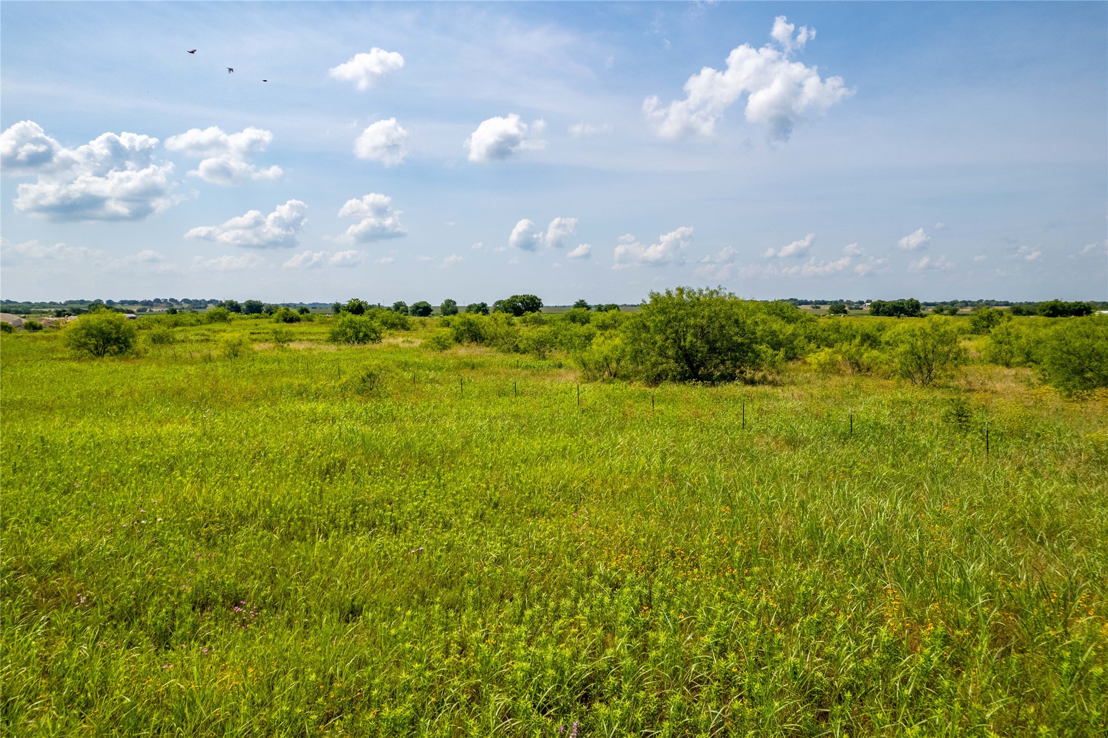 0 Lehmann Road Whitney TX 76692
