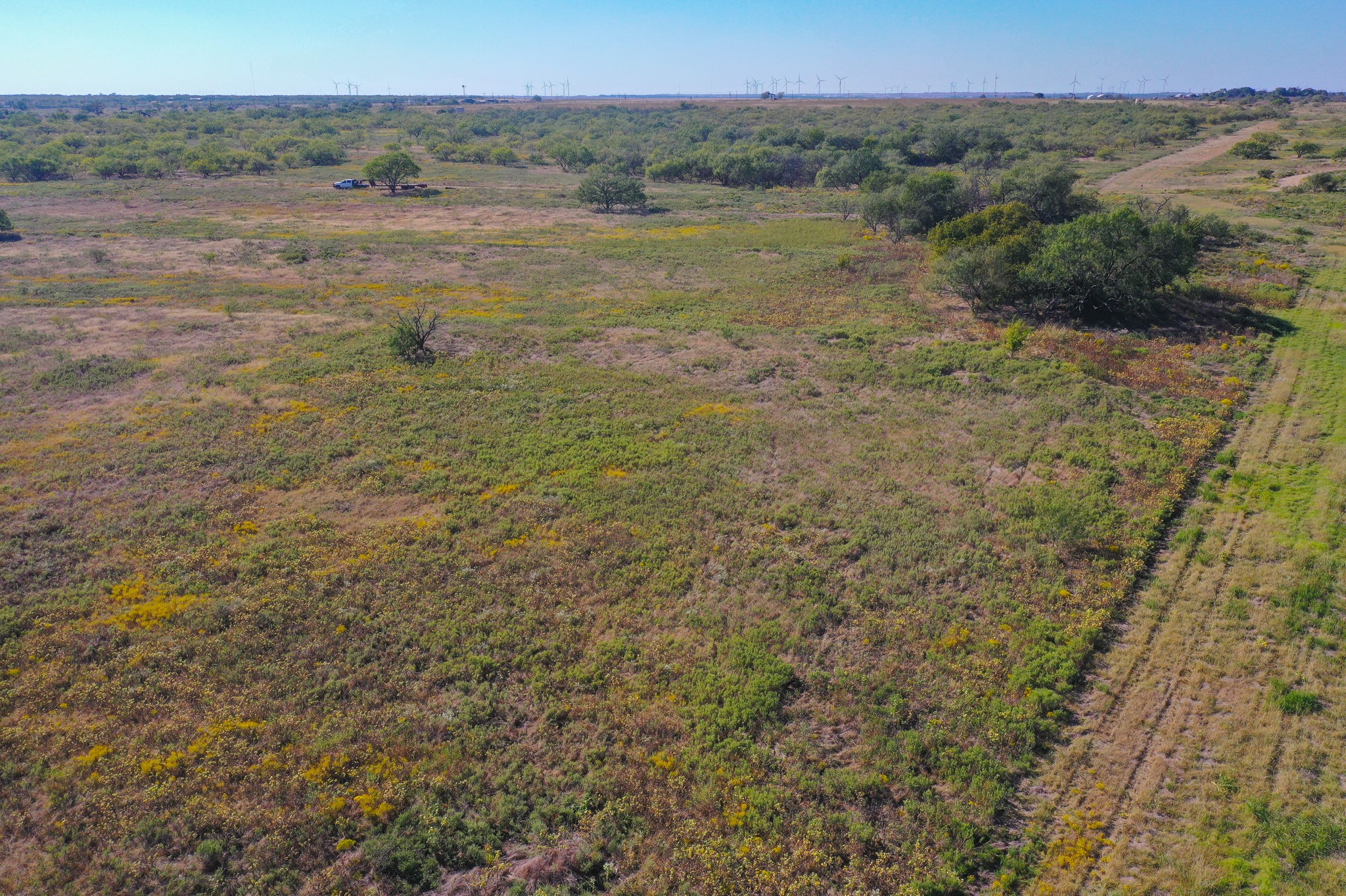 16.96 Acres 199 Highway Jacksboro TX 76458