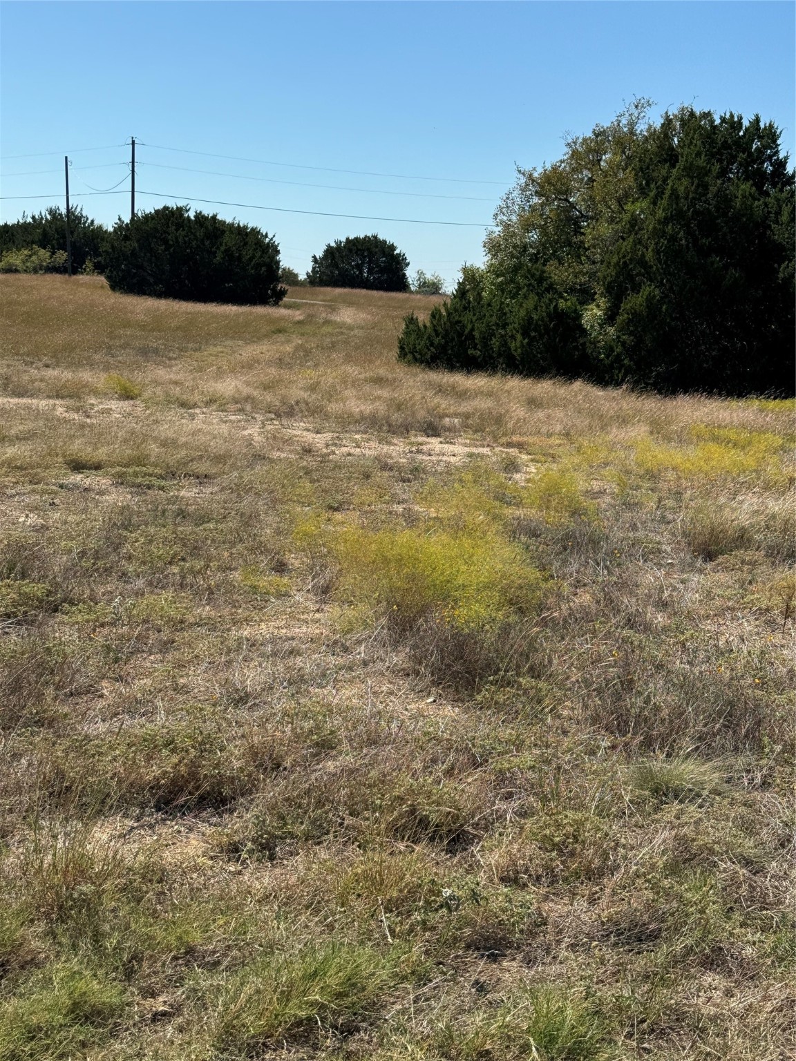 10042 Crestridge Drive Whitney TX 76692