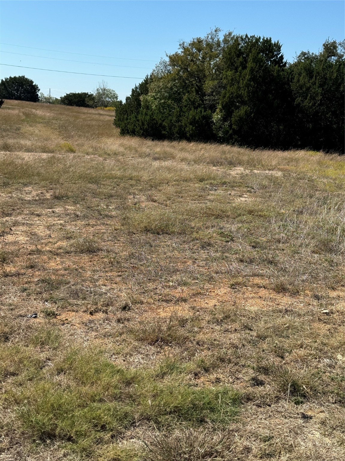 10042 Crestridge Drive Whitney TX 76692