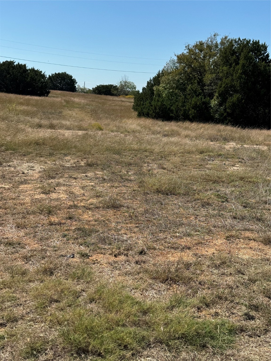 10042 Crestridge Drive Whitney TX 76692