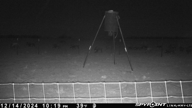 Tbd Fm 1919 Seymour TX 76380