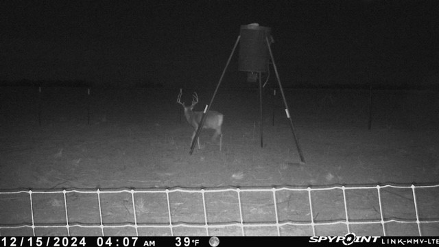 Tbd Fm 1919 Seymour TX 76380