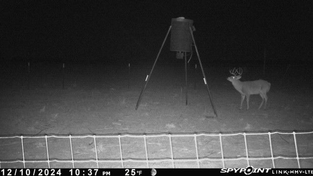 Tbd Fm 1919 Seymour TX 76380