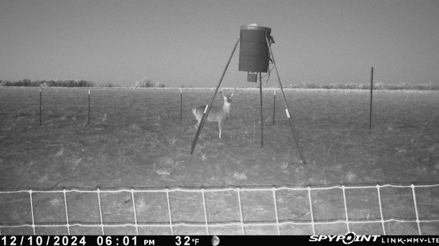 Tbd Fm 1919 Seymour TX 76380