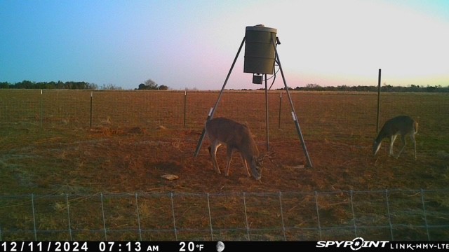 Tbd Fm 1919 Seymour TX 76380