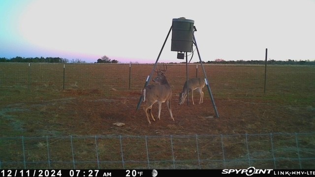 Tbd Fm 1919 Seymour TX 76380