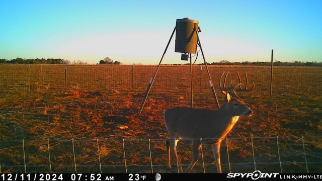 Tbd Fm 1919 Seymour TX 76380