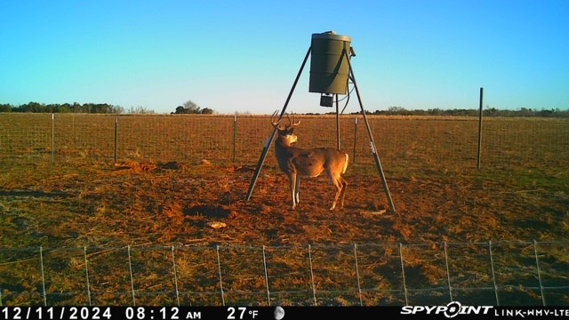 Tbd Fm 1919 Seymour TX 76380