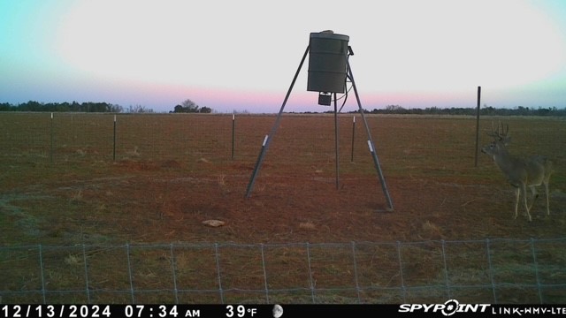 Tbd Fm 1919 Seymour TX 76380