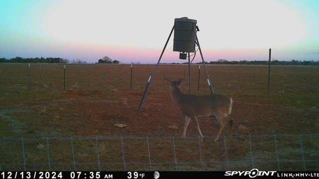 Tbd Fm 1919 Seymour TX 76380