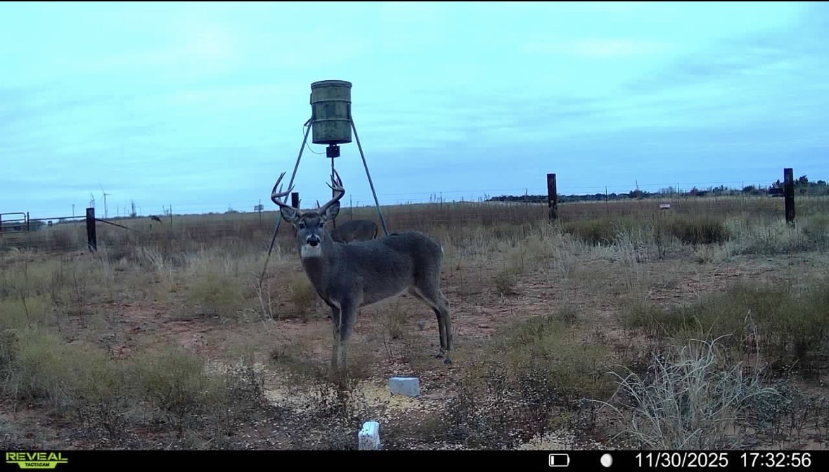 Tbd Fm 1919 Seymour TX 76380