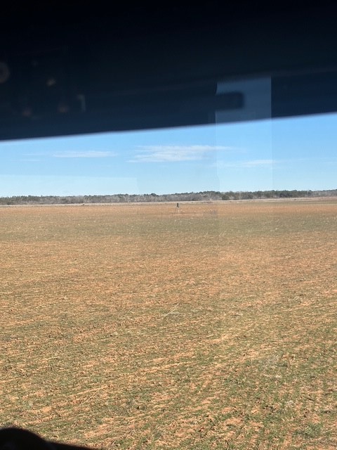 Tbd Fm 1919 Seymour TX 76380