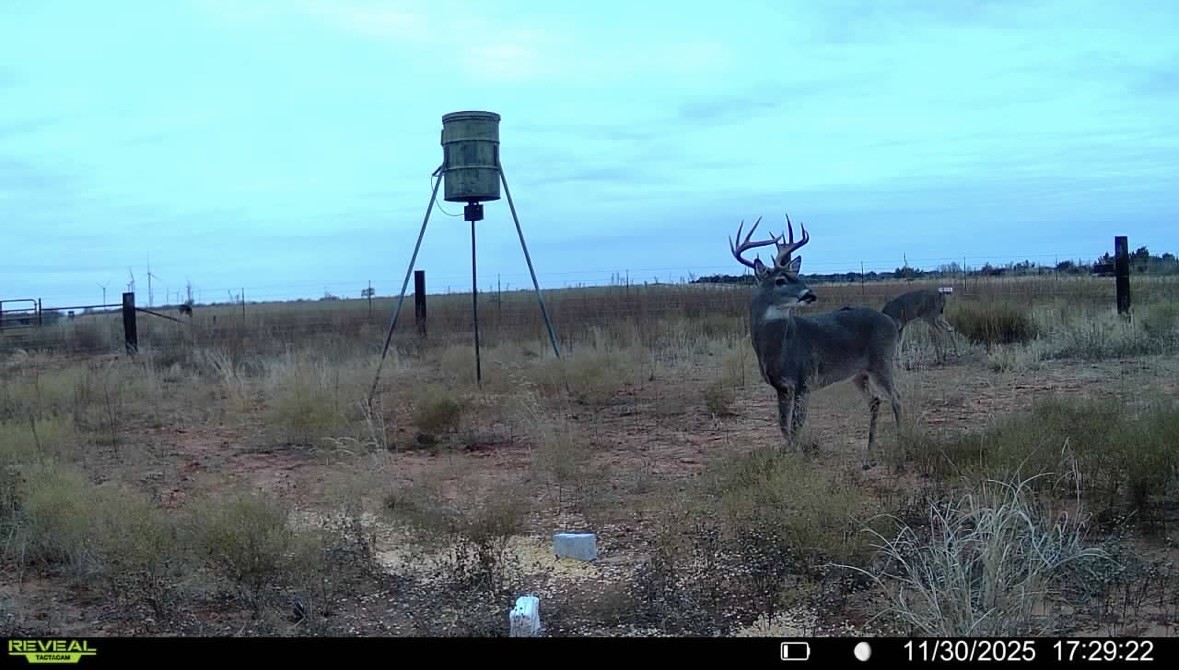 Tbd Fm 1919 Seymour TX 76380