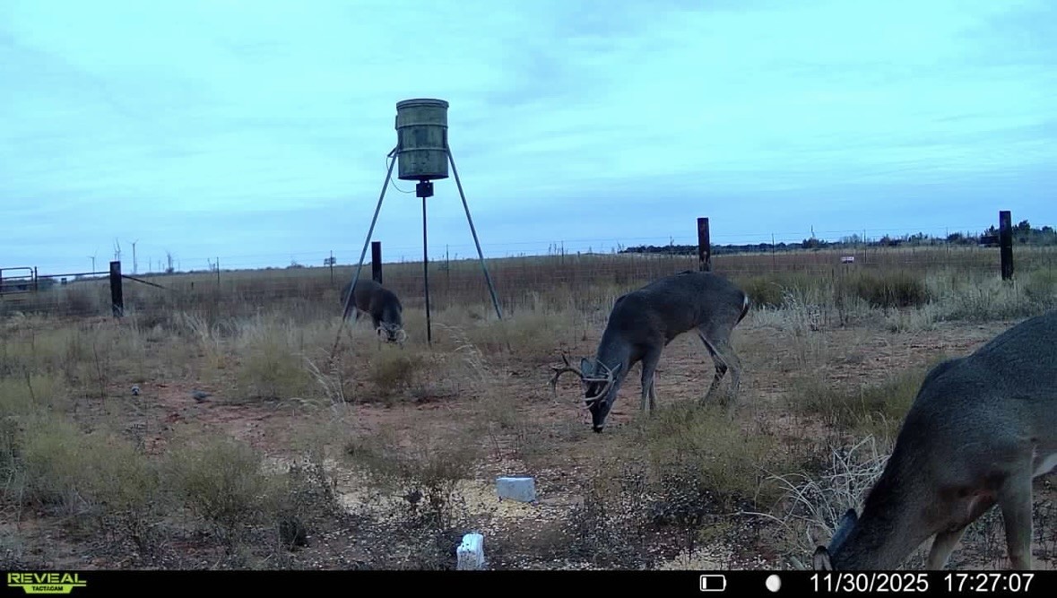 Tbd Fm 1919 Seymour TX 76380