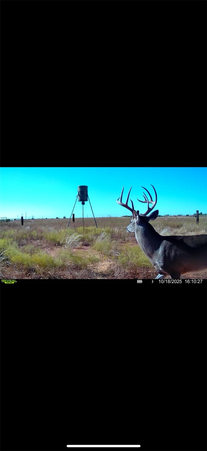 Tbd Fm 1919 Seymour TX 76380