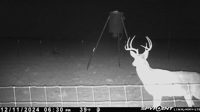 Tbd Fm 1919 Seymour TX 76380