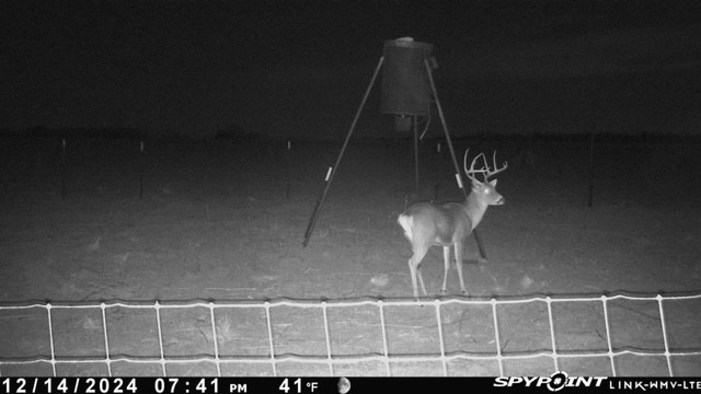 Tbd Fm 1919 Seymour TX 76380