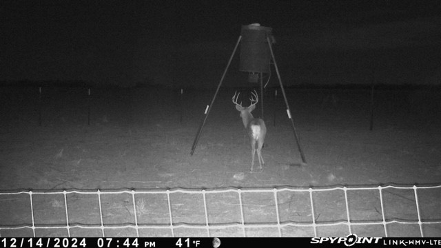 Tbd Fm 1919 Seymour TX 76380