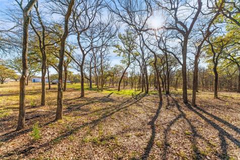 6085 Autumn Breeze Circle Fort Worth TX 76140