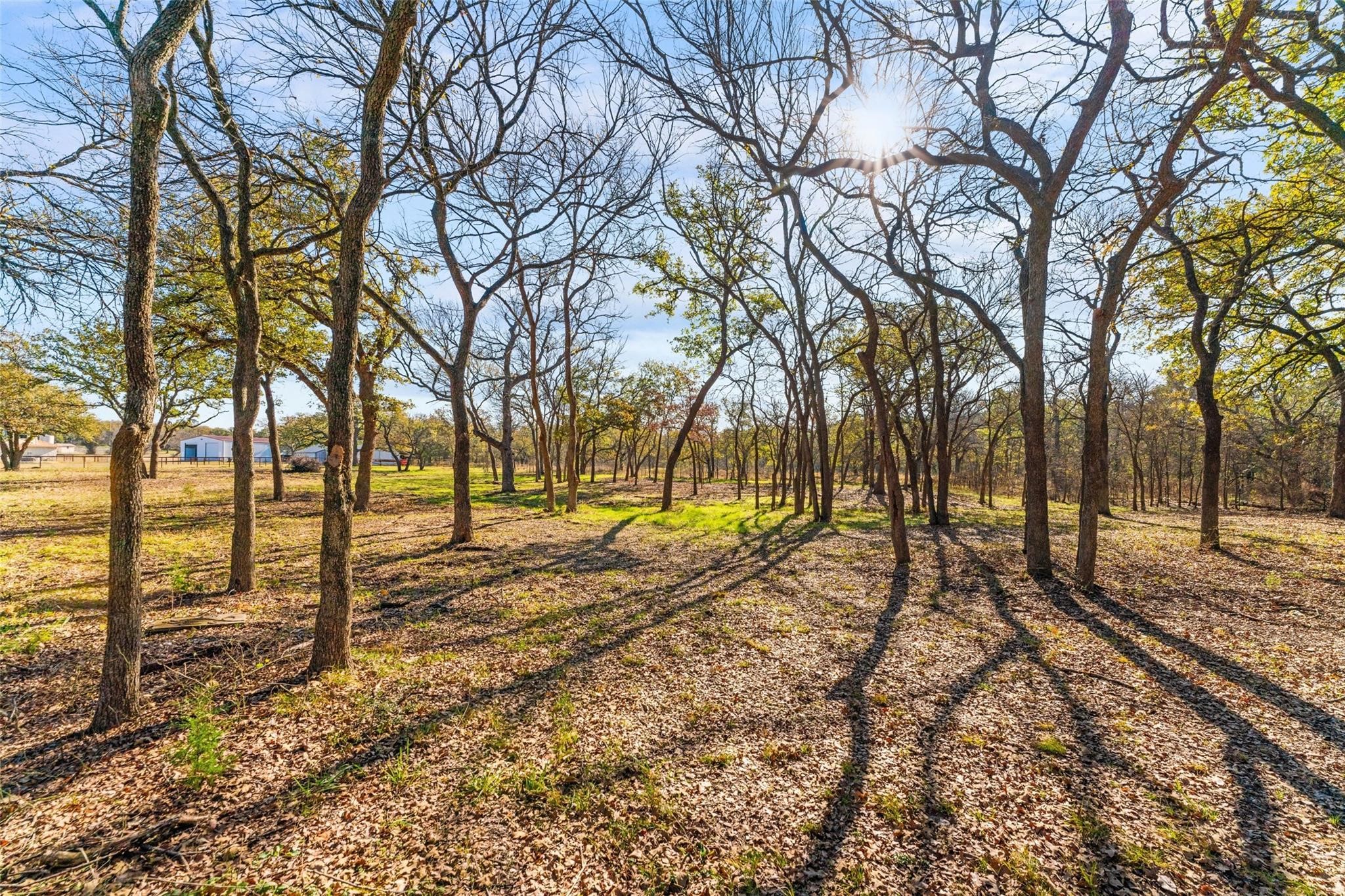 6085 Autumn Breeze Circle Fort Worth TX 76140