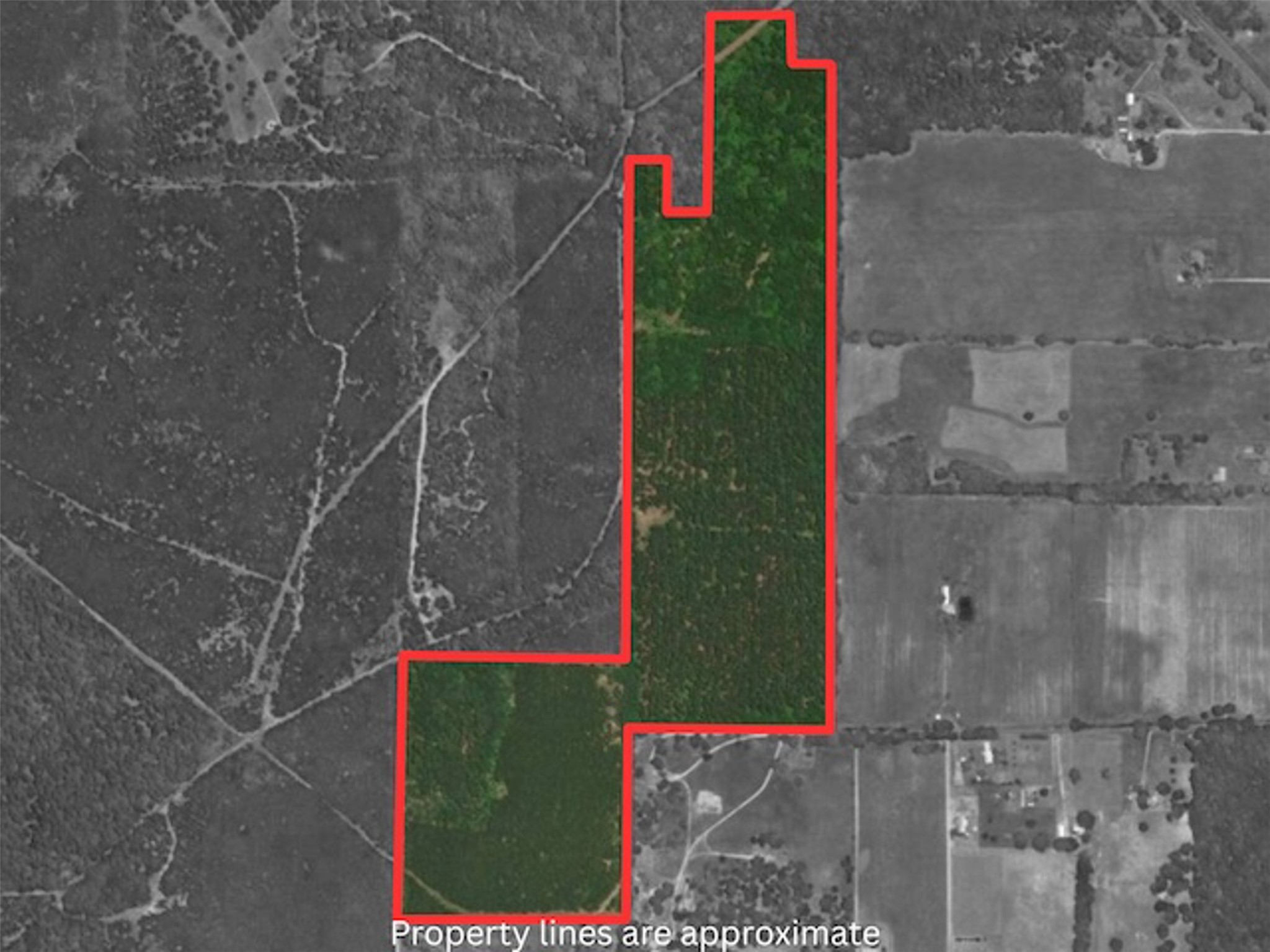 000 Private Road 7832 Hawkins TX 75765