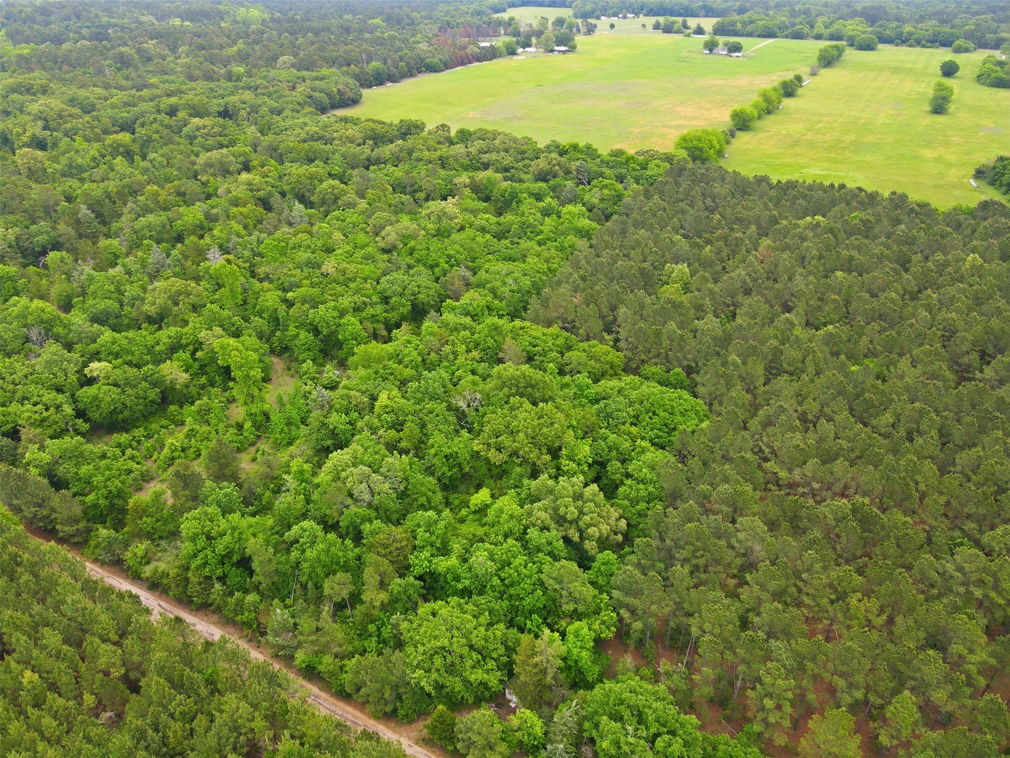 000 Private Road 7832 Hawkins TX 75765
