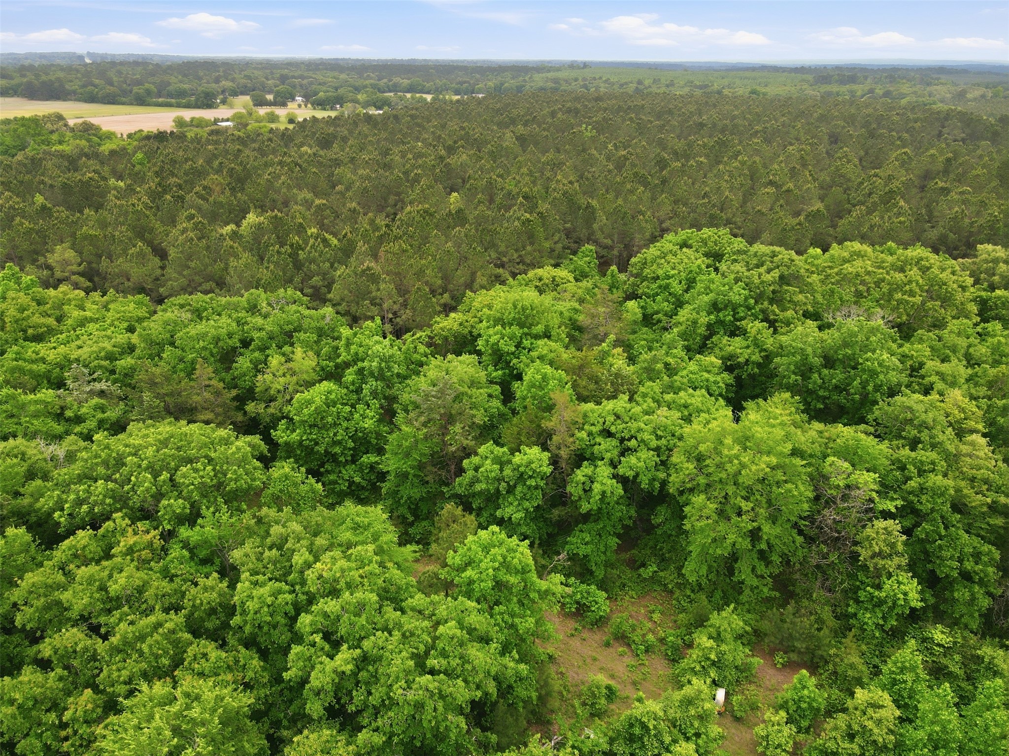 000 Private Road 7832 Hawkins TX 75765