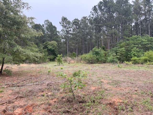 000 Private Road 7832 Hawkins TX 75765