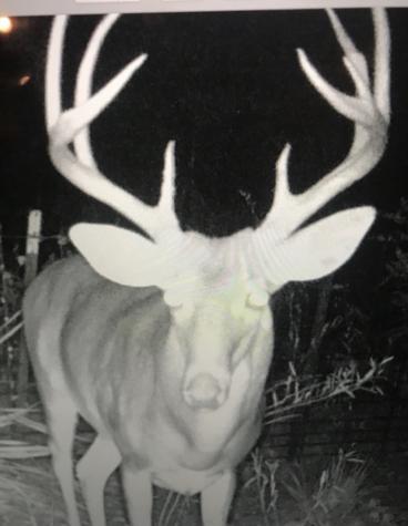 000 Private Road 7832 Hawkins TX 75765