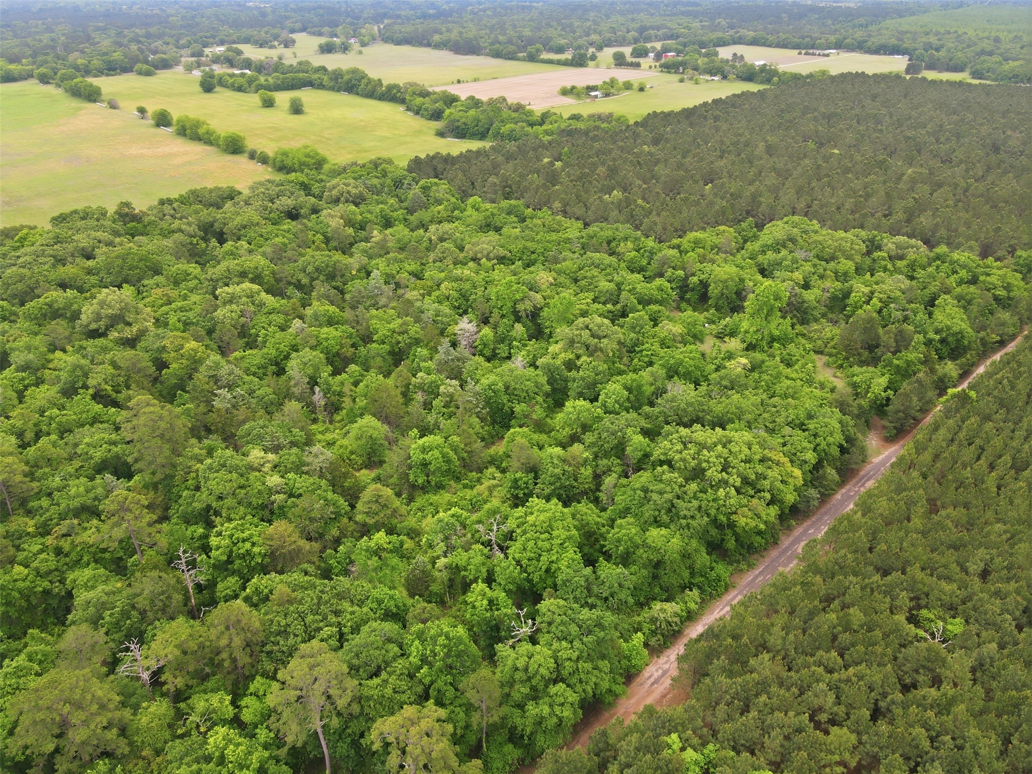 000 Private Road 7832 Hawkins TX 75765