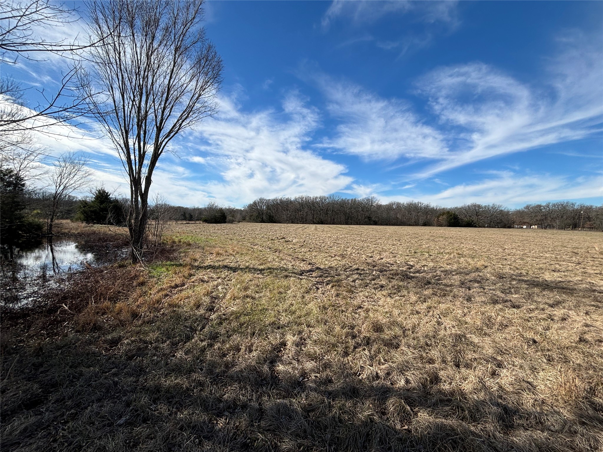 Tbd Cr-2138 Kemp TX 75143