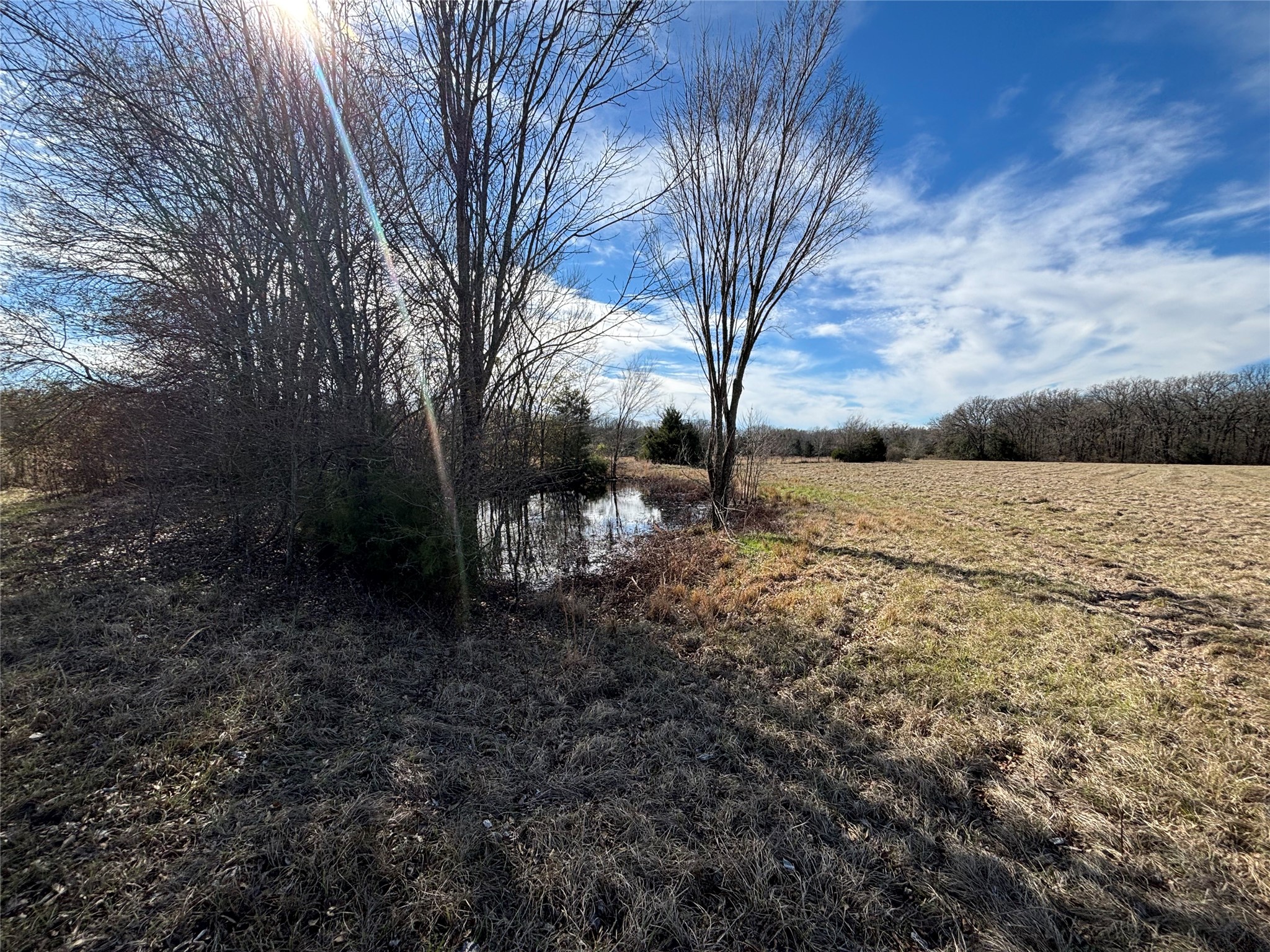 Tbd Cr-2138 Kemp TX 75143