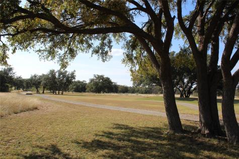 Tbd Lot 923 Safe Harbor Drive Brownwood TX 76801