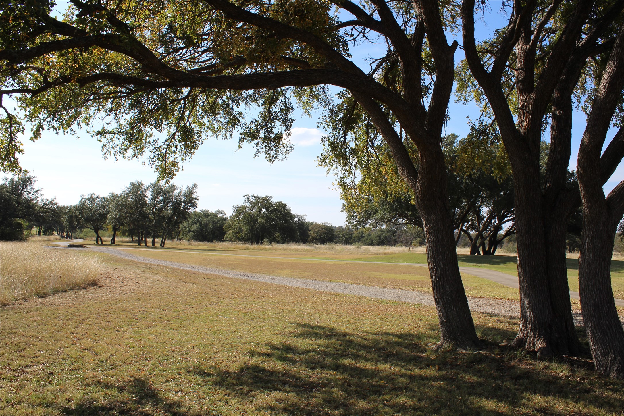 Tbd Lot 923 Safe Harbor Drive Brownwood TX 76801