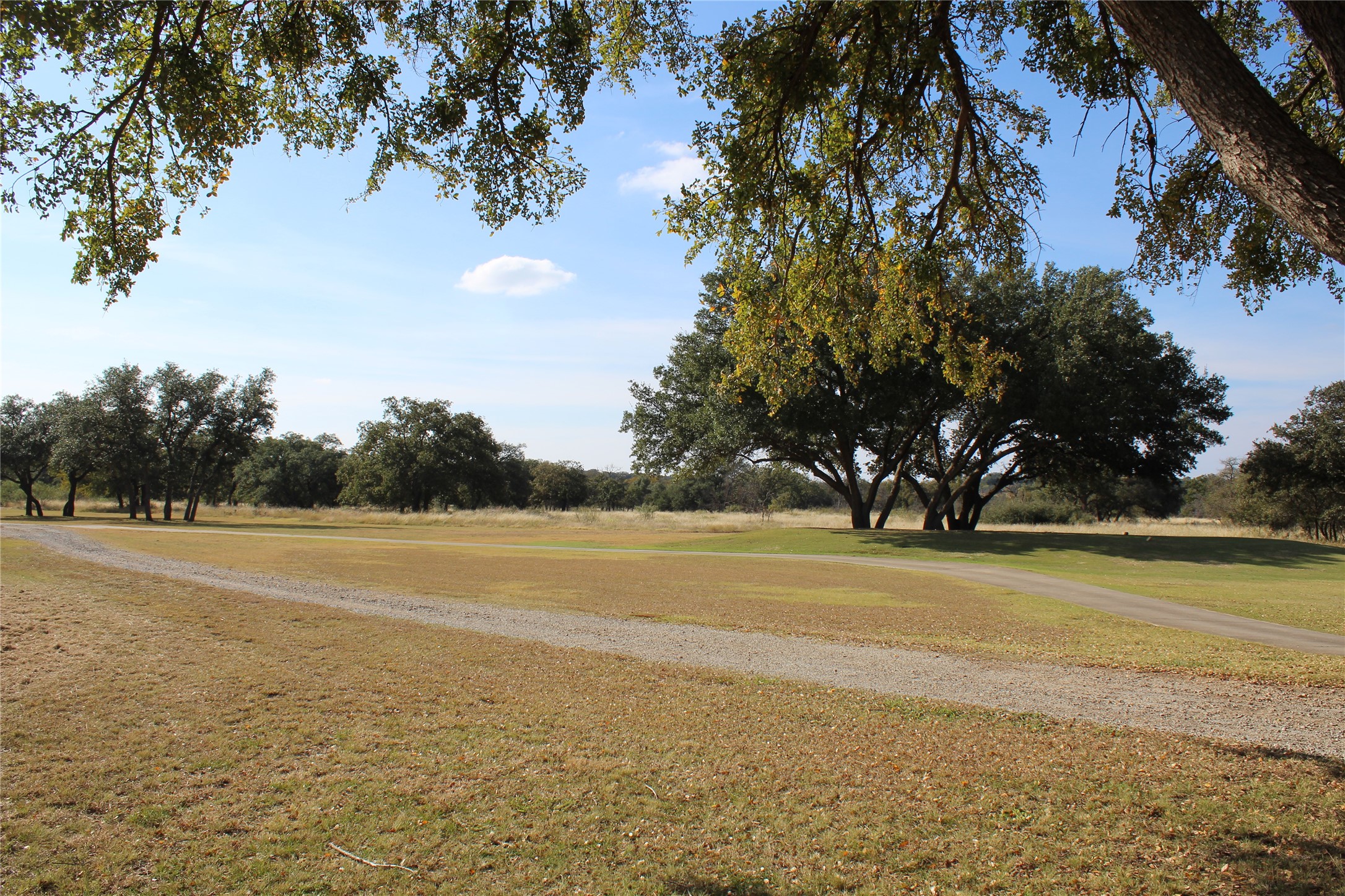 Tbd Lot 923 Safe Harbor Drive Brownwood TX 76801