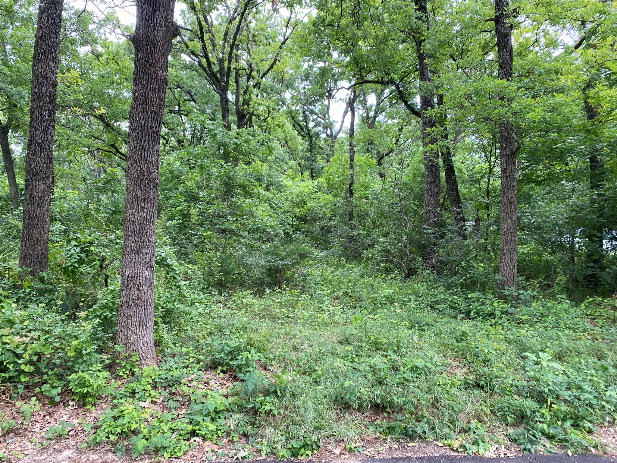 Tbd NW County Road 3323 Frost TX 76641
