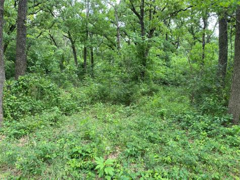 TBD NW County Road 3323 Frost TX 76641