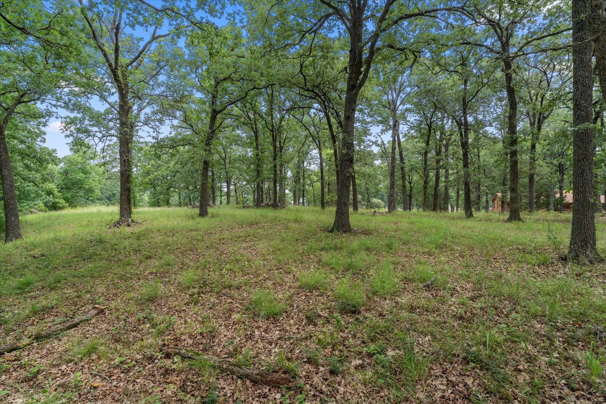 78 & 79 Tall Oaks Drive Streetman TX 75859