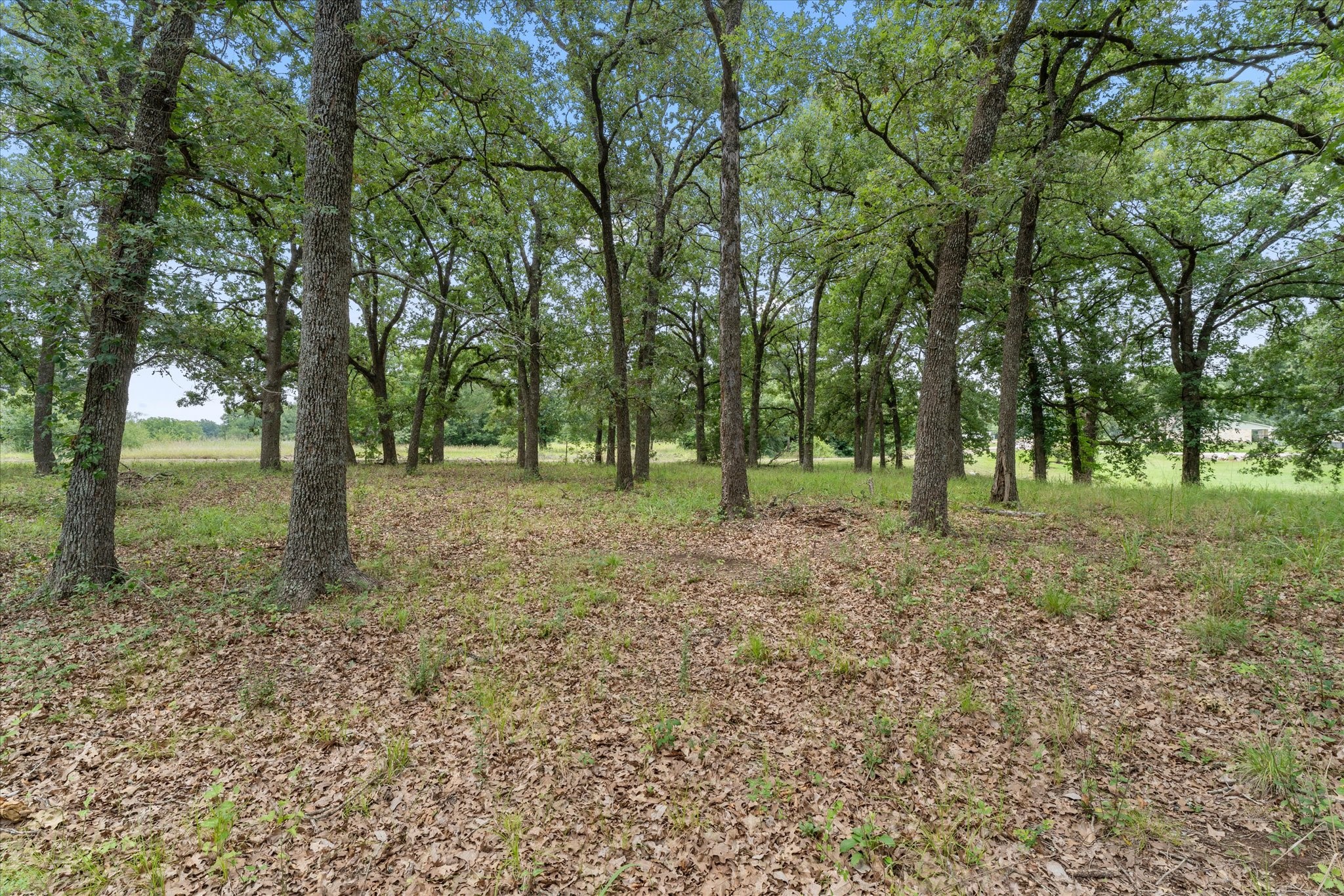 78 & 79 Tall Oaks Drive Streetman TX 75859