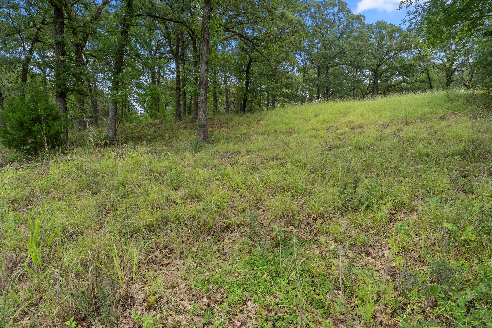 78 & 79 Tall Oaks Drive Streetman TX 75859
