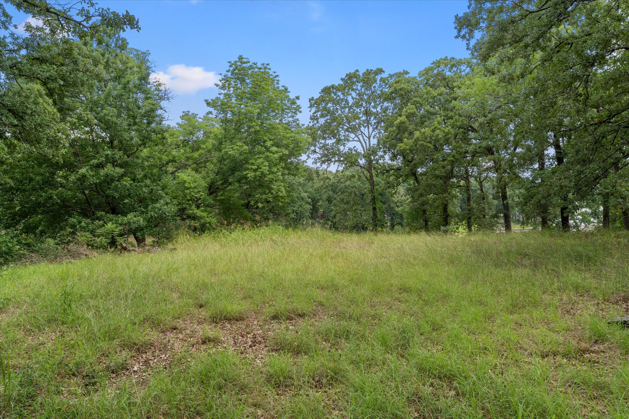78 & 79 Tall Oaks Drive Streetman TX 75859