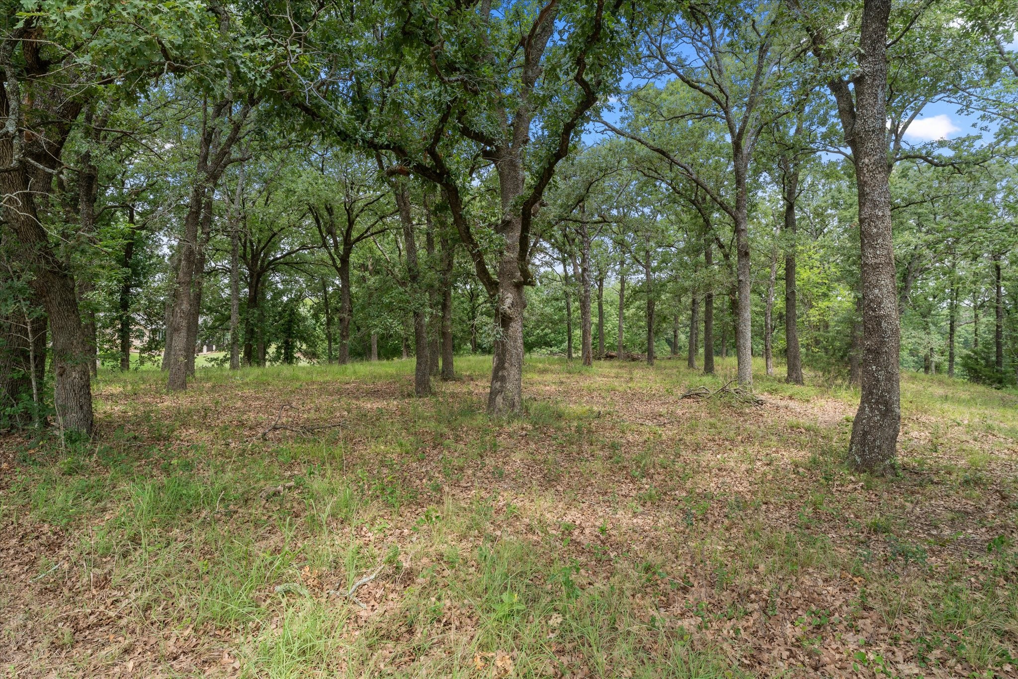 78 & 79 Tall Oaks Drive Streetman TX 75859